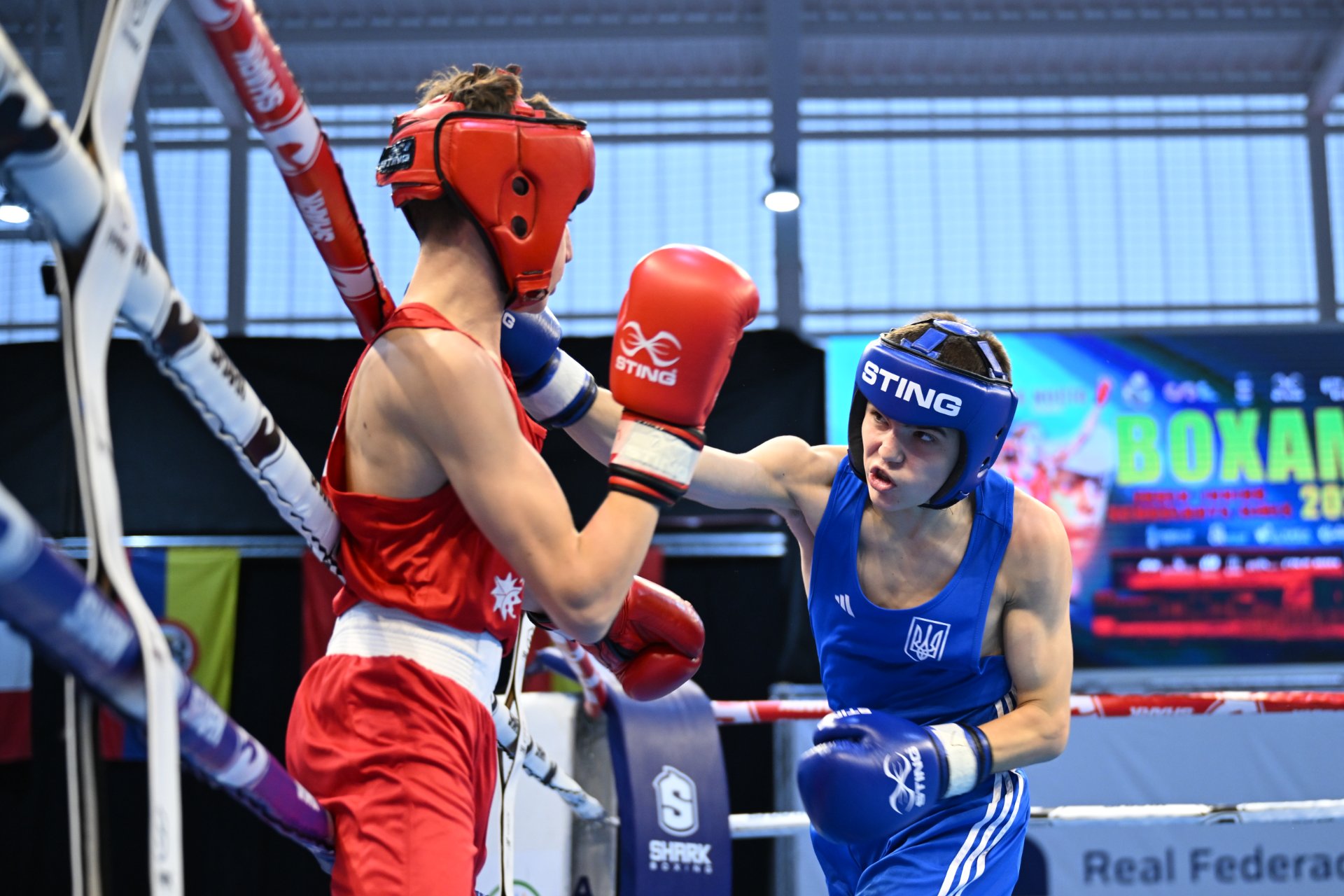 The Boxam U19-U17-U15 Tournament will be held in La Nucia between August 31 and September 6